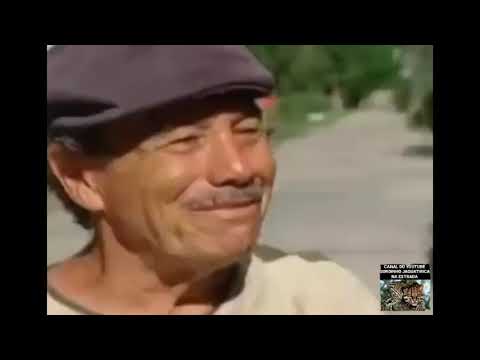 CARGA PESADA  / NÃO FAZ DIFERENÇA