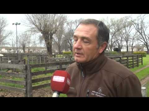 6º  Remate anual de Cabaña Los Pamperos  - Entrevista a Guillermo Anderson