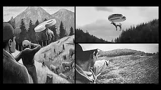 Elk abduction by a UFO witnessed by 14 forestry workers, Mt. St. Helens area, Washington State, 1999