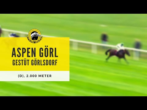 Vollblut Bayern: Preis der Sport-Welt