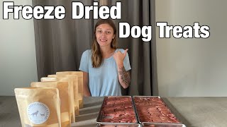 Freeze Dry Dog Treats | First Farmers Market Update | Dog Treat Business | Harvest Right |