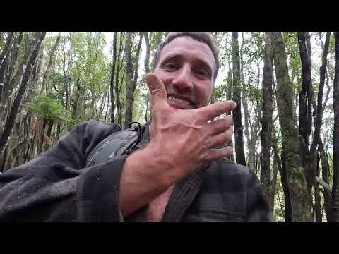 ADVENTURE vlog 255 The old hut in the bush with Jack, dirtbike mission with Sonny Jim and Gisborne