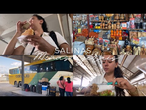 um dia comigo em Salinas-MG, tour pelo mercadão, volta pra casa de Gontijo + paradas 💕