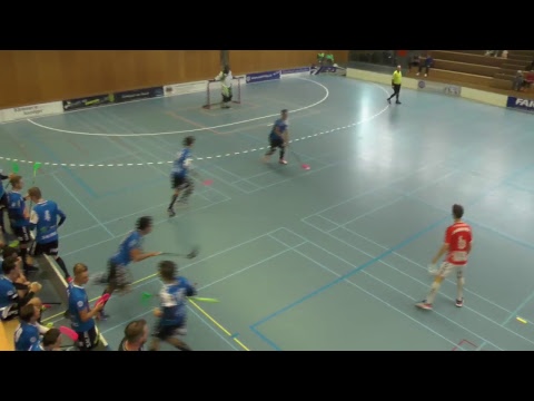 Livestream von Ruebisbach