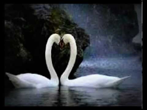 Schau mir in die Augen - Lorenz Maierhofer - ViaSanMia