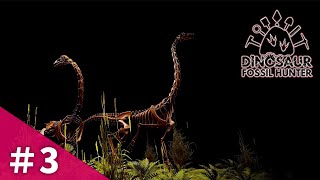 【Dinosaur Fossil Hunter】きっちゃない色の薬品まく【ダイナソーフォッシルハンター】