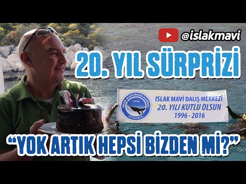 youtube-video-thumbnail