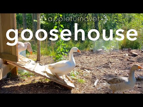 , title : 'build a goosehouse and keep geese to create a resilient farm, at appleturnover'