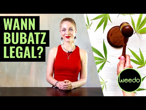 Kann die Cannabis-Legalisierung jetzt noch scheitern? - Weedo TV