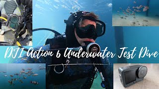 DJI Action 6 Underwater First Test. How well does the 2x zoom work?