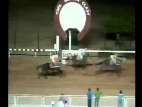 Resumen Viernes, 11 de Abril de 2014 - Santa Rita