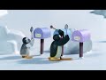 Aaf Pingu S05e20 Pingu And The Band Dvdrip Xvid