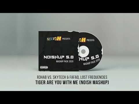 R3hab vs. Skytech & Fafaq, Lost Frequencies - Tiger Are You With Me (NOISH Mashup)