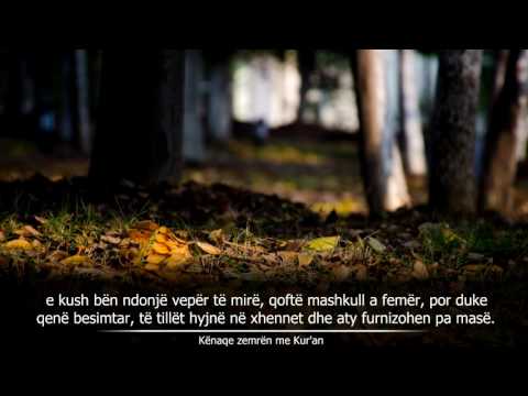 Dita kur zullumqarëve nuk u bën dobi arsyetimi i tyre-Ahmed al Abid-Surja:Gafir (35-52)