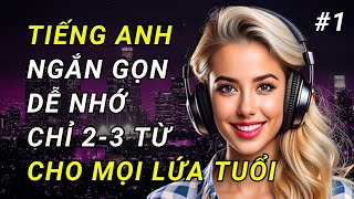 Giỏi Tiếng Anh Nhanh Chóng Với Những Câu Nói Ngắn Hiệu Quả | Luyện Nghe Giao Tiếp Hằng Ngày | Ngày 1 