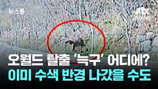 오월드 탈출 '늑구' 어디에?…이미 수색 반경 나갔을 수도 / JTBC 뉴스룸