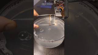The free energy of the liquid surface does the work #shorts #physics
