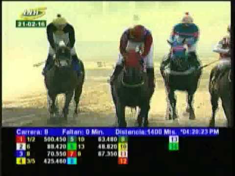 Resumen Domingo, 21 de Febrero de 2016 - La Rinconada