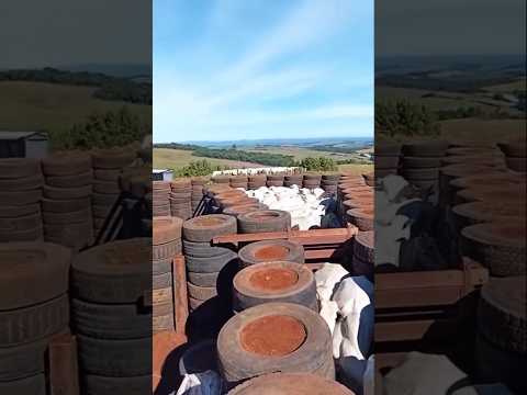 Curral de Pneus: Material Reciclado Revoluciona a Fazenda.