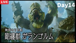初見モンハンを堪能する男 14日目 初めての三域三公編　 【モンスターハンターサンブレイク初見プレイ】