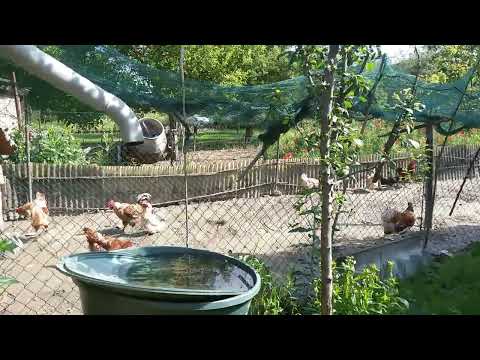 Paraszt volt az Édesapám