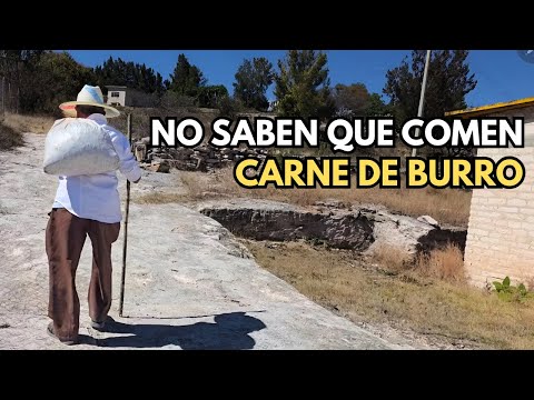 "No saben que comen carne de burro"