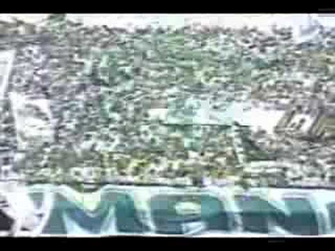 Palmeiras 2x0 Vitória - Palmeiras CAMPEÃO BRASILEIRO 1993!!!