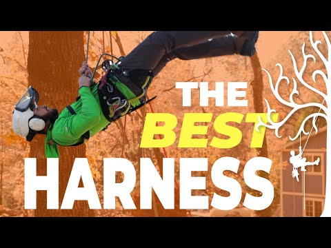 My Favorite Harness Made BETTER! : The Best Value Professional Tree Climbing Arborist Harness.