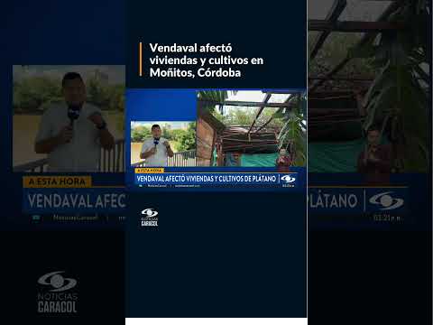 Vendaval afectó viviendas y cultivos en Moñitos, Córdoba