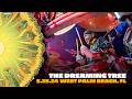 Dave Matthews Band - LIVE - The Dreaming Tree, 5/25/24, iThink Financial Amp, West Palm Beach, FL