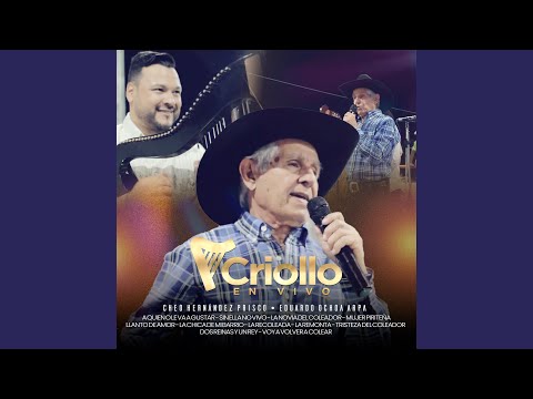 Cheo Hernandez Prisco : A Quien No Le Va a Gustar / Sin Ella No Vivo / La Novia del Coleador /...