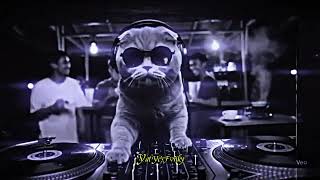 Download lagu DJ LILIN LILIN PUTIH SLOW BASS MAKIN LAMA MAKIN ENAK VIRAL DI TIKTOK 2025 mp3 Download lagu DJ LILIN LILIN PUTIH SLOW BASS MAKIN LAMA MAKIN ENAK VIRAL DI TIKTOK 2025 mp3