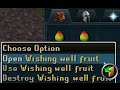 How good are Wishing well fruits for Ironmen?