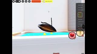 Mussel Without Red Zone By @LLASYPAPN