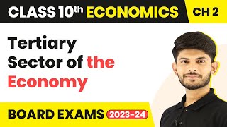 Tertiary Sector of the Economy | Economics | Class 10th | Chapter 2 | 2023-24