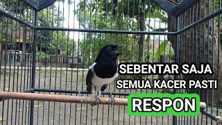 Download lagu Kacer GACOR ngeplong KONSLET Tarung ini Paling Ampuh untuk PANCINGAN KACER agar EMOSI.. mp3