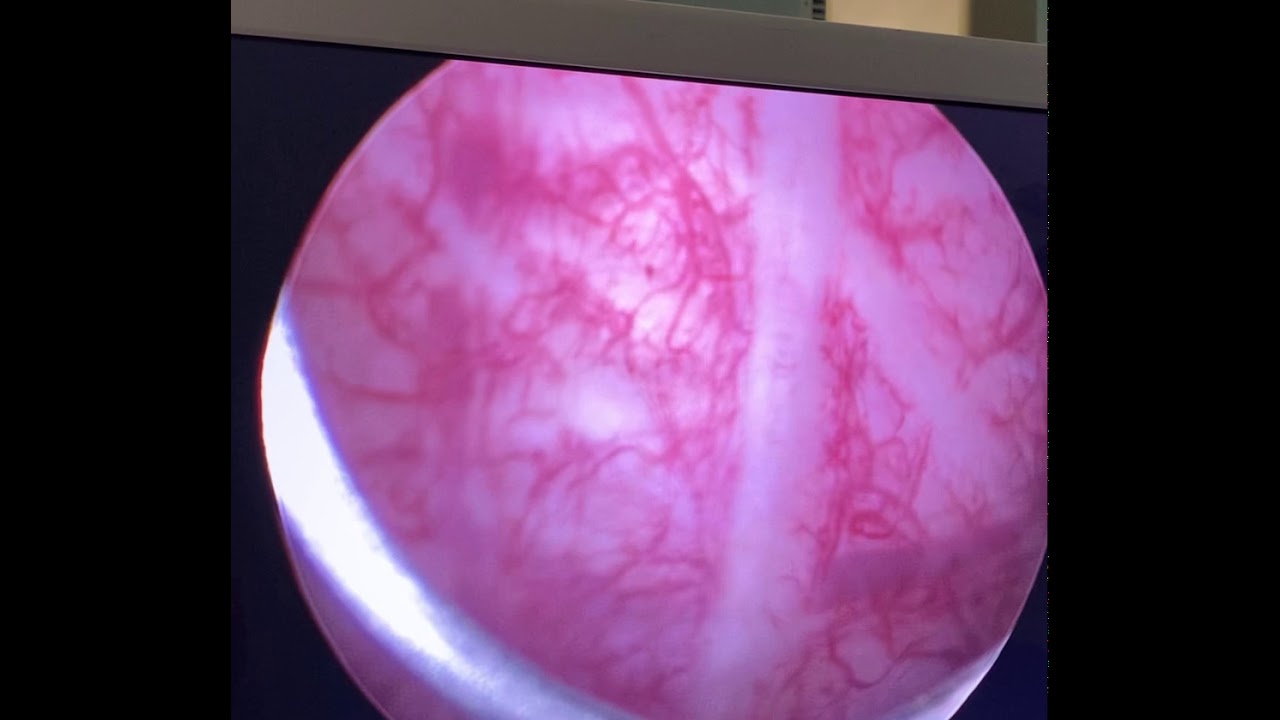 João Pedro Bueno Telles-15