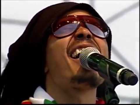 TALLO DE SINSEMILLA - Alma Rasta OFICIAL