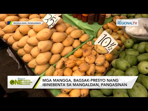 One North Central Luzon: Mga mangga, bagsak-presyo nang ibinebenta sa Mangaldan, Pangasinan