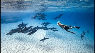 Live Every Day Like It's Your Last... || Nolan Omura