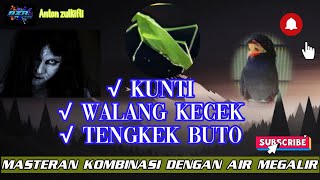 Download lagu MASTERAN KUNTILANAK WALANG KECEK TENGKEK BUTO BUAT KICAU MANIA....... mp3 Download lagu MASTERAN KUNTILANAK WALANG KECEK TENGKEK BUTO BUAT KICAU MANIA....... mp3