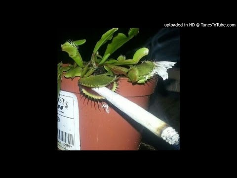 [SOLD] BUSHIDO ZHO x RVMZES x MAYOT TYPE BEAT "НЕ ВЫВОЗИШЬ"