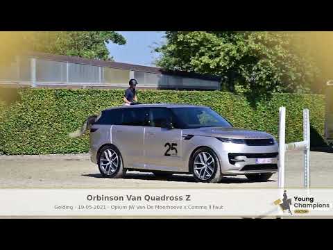 orbinson van quadross z