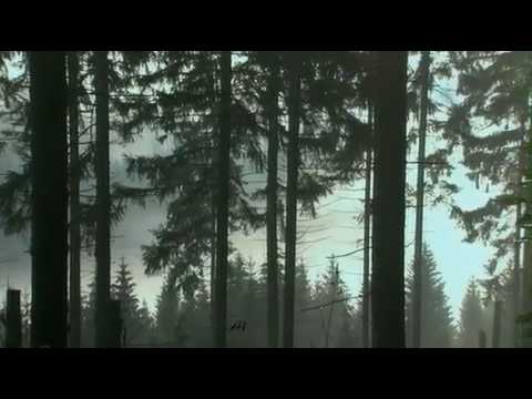 Die Deutschen - Otto und das Reich 936-973 1/10 - subpart 3/5