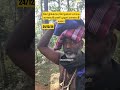 சபரிமலை பெரிய பாதை Swamysaranam Sabarimalaayyapan Sabarimala