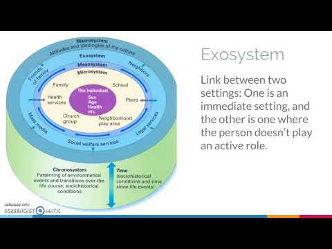 Bronfenbrenners ökologische Theorie