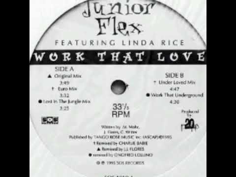 JR FLEX Feat.Linda Rice -WORK THAT LOVE (EURO EXTENDED Mix "12 SINGLE VYNIL 33 RPM'STEREO")