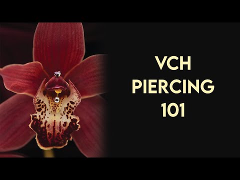 VCH Piercings 101
