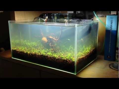 Tank update 08292012