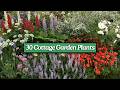 30 Essential Cottage Garden Plants Selected By Rosy Hardy